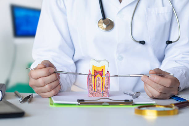 Best Emergency Care for Gum Disease in Lone Tree, IA